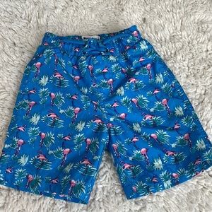 Beach Bros toddler boys swim trunks